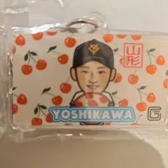 riri☆【ジャイアンツグッズ出品中】様 リクエスト 2点 まとめ商品