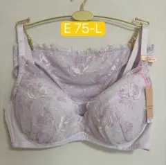 トリンプ　アモスタイル 胸元ぴったりブラ ブラ＆ショーツセットAMST1533