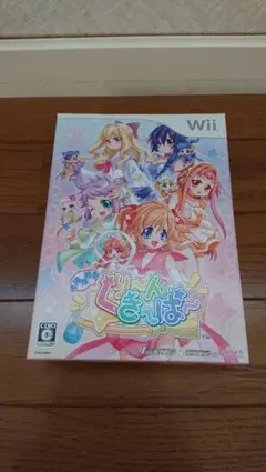 お掃除戦隊 くりーんきーぱー 限定版