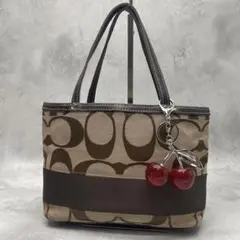 Coach Signature Mini Tote Small Handbag