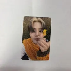 ald1 サンウォン タレントカード