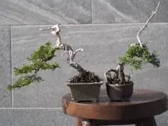 B.B ※プロフ必読様 リクエスト 2点 まとめ商品