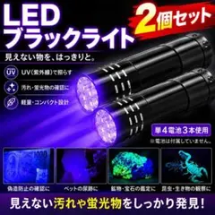 【2個セット】 LEDブラックライト ミニフラッシュライト