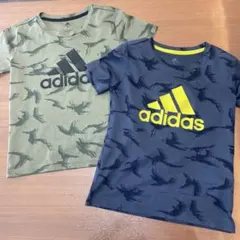 Item thumbnail for item cd8c0b5f-e670-4f9d-b548-788e4b966591