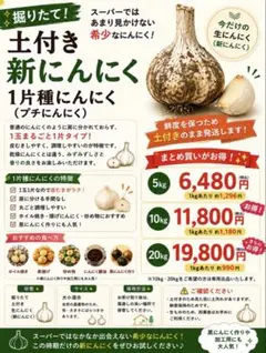 新物】国産にんにく 20kg 土付き 大容量 業務用 保存用 - メルカリ
