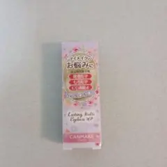 CANMAKE　キャンメイク　ラスティングマルチアイベース　WP　01
