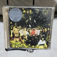 Devendra Banhart Cripple Crow 2CD 日本盤