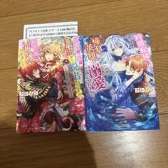 小説2冊セット