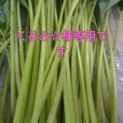 くるみ☆様専用です！