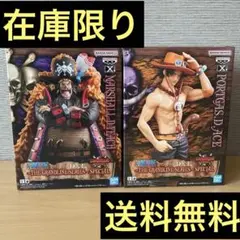【本日発送/新品未開封】ワンピース フィギュア ティーチ エース 2体セット