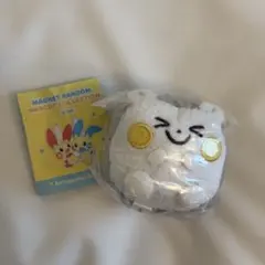 韓国限定 ポケモン POPUP ぬいぐるみ キーホルダー トゲデマル