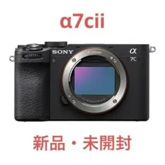 2025年最新】α7C ii ilce-7cm2の人気アイテム - メルカリ
