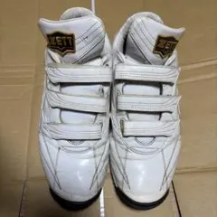 Item thumbnail for item 55cea44d-a01f-403d-9b11-df5f38b77590