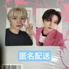 straykids DO IT リノ　タワレコ 通常盤トレカ