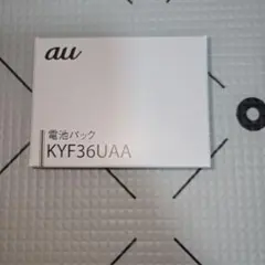 Item thumbnail for item d169afd4-4ea3-4725-a212-994a535fc2e3