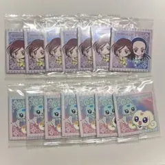 ふたりはプリキュアスプラッシュスター 満 薫 フラッピ チョッピ