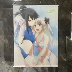 インフィニット・ストラトス 篠ノ之箒＆セシリア・オルコット B2