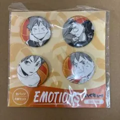 ハイキュー!!　缶バッジ4個セット　EMOTIONS　日向翔陽