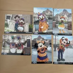 東京ディズニーリゾート ハロウィーン2020 フォト 6枚セット