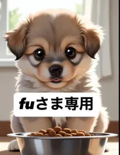 fuさま専用