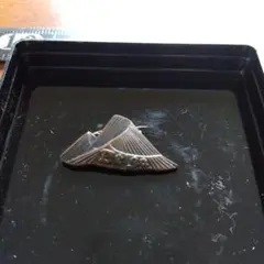 Item thumbnail for item 5c7c6d21-8f02-49dc-aef7-2ec3cfd000af