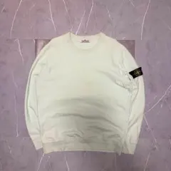 【keiju着用❗️】stone island スウェット　トレーナー　XL 水色