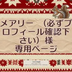 メアリー （必ずプロフィール確認下さい）様 リクエスト 2点 まとめ商品