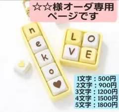 ☆☆様専用ページです