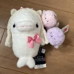 AQUA MUSEUM白イルカ　sirotanしろたんセットまとめ売り