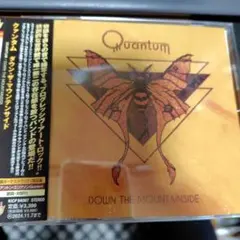 【ハードプログレ】クァンタム「ダウン・ザ・マウンテンサイド」
