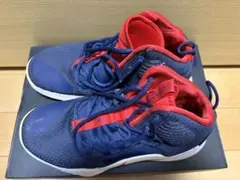 NIKE HYPERDUNK X USAカラー 25.5cmのサムネイル