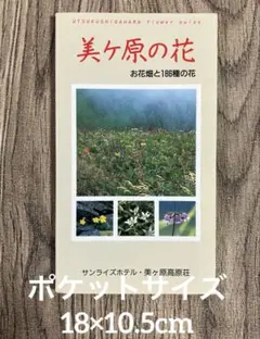 Item thumbnail for item 60d3c3a1-5352-400d-95b0-45a775b3a81d