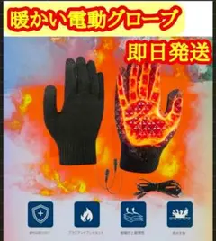 電熱グローブ USB給電 防寒手袋 スマホ対応 男女兼用 ブラック