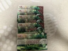 コシダカホールディングス　株主優待券　4枚のサムネイル
