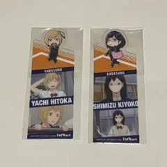 ハイキュー　烏野マネジャーグッズセット