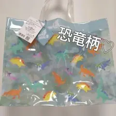 カラフルディノワールド プールバッグ