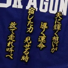2008 中日ドラゴンズ ミズノプロ スタジャン 2XO - メルカリ