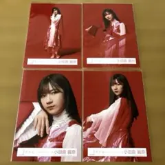 さくわか様 リクエスト 4点 まとめ商品