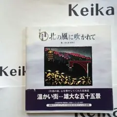 Item thumbnail for item b6ae3a2e-864d-4787-8e93-d9915f31afb0