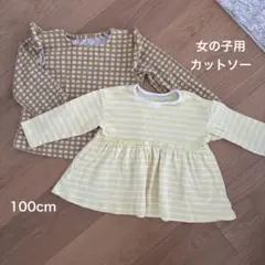 女の子用　長袖カットソー 100cm 2枚セット