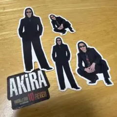 HiGH&LOW フレークシール AKIRA