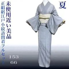 2026年最新】絽 訪問着の人気アイテム - メルカリ