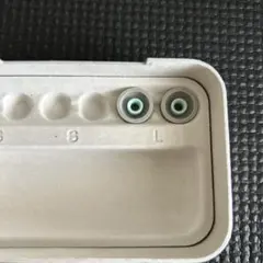 【未使用】純正 SONY WF-1000XM5 イヤーピースLサイズ シルバー