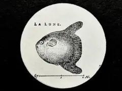 Item thumbnail for item 516ab097-d7f5-413b-b204-aab9d711c294