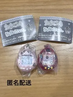 【2個セット】たまこっち　シャカシャカチャームコレクション　てんしっち　まめっち