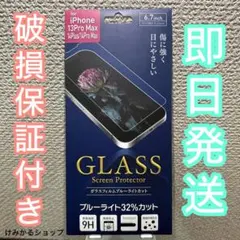 Item thumbnail for item 939214dc-97c6-4c88-a079-f75c10295dd0