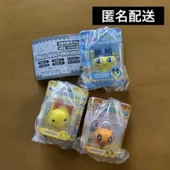 たまごっち　ブリスターパッケージコレクション　3点セット