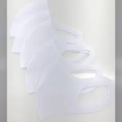 フェリシモ　洗える！立体マスク　5枚入り　ホワイト