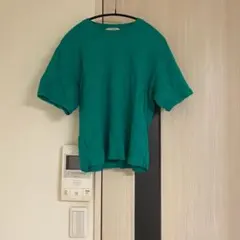 AURALEE ロンハーマン　Tシャツ　フリーサイズのサムネイル