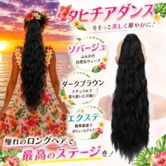 A0001 タヒチアンダンス フラダンス ウィッグ エクステ ポニーテールのサムネイル